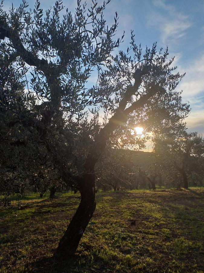 Casale Dei Priori Bed & Breakfast Rocca Massima ภายนอก รูปภาพ