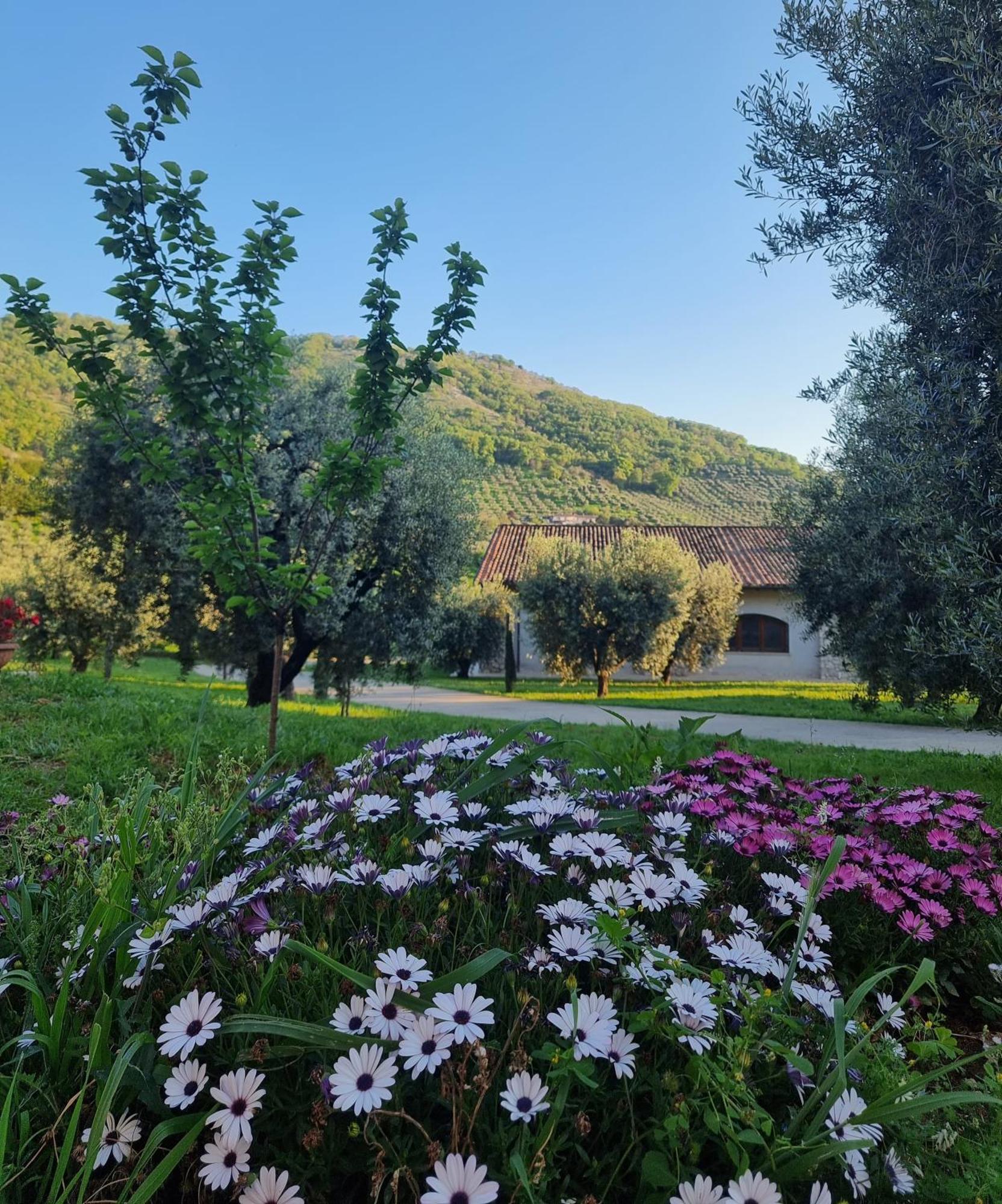 Casale Dei Priori Bed & Breakfast Rocca Massima ภายนอก รูปภาพ